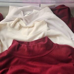 NWT Choice of one Allison Lane mock turtleneck, white or cream